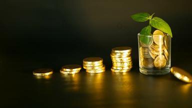 管理效率栈金硬币完整的玻璃绿色叶发芽黑色的背景成功